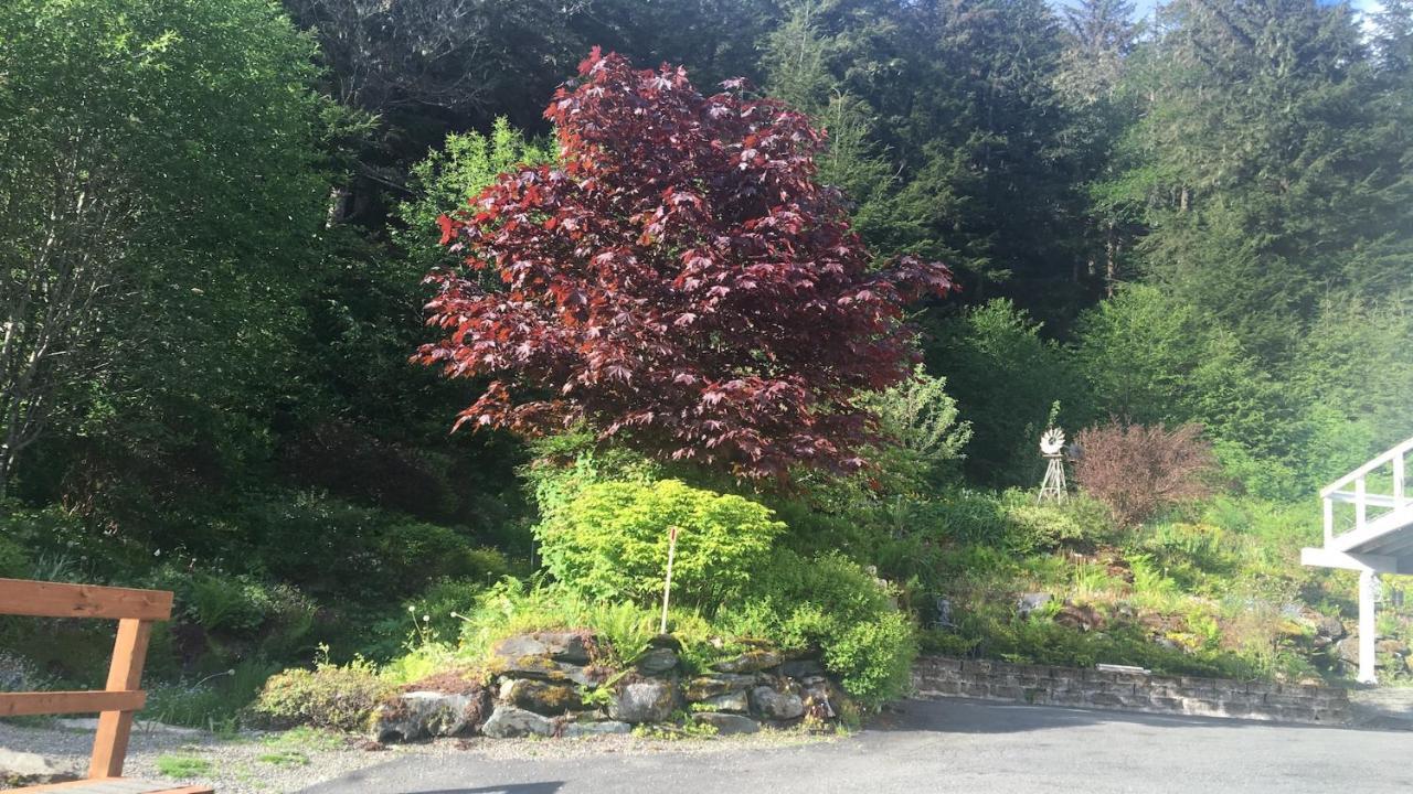 Kelli Creek Cottage - Reduced Price On Tours Juneau Eksteriør billede