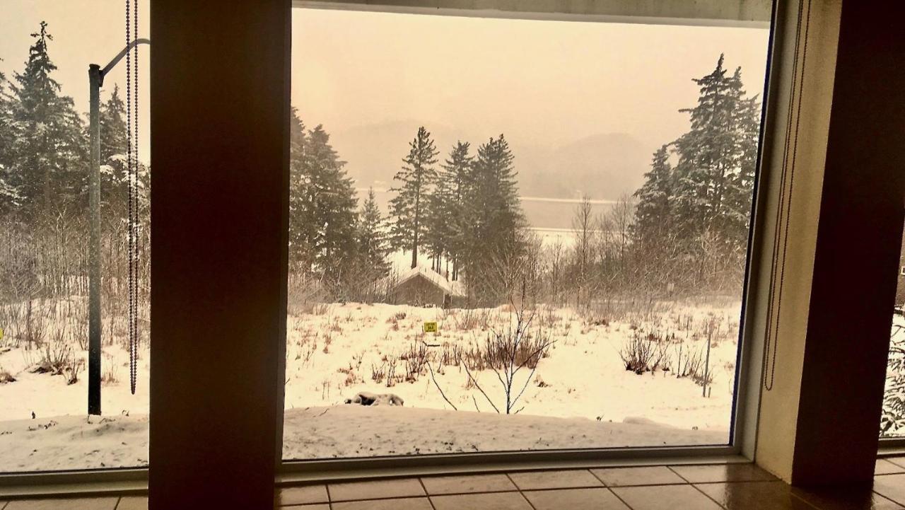 Kelli Creek Cottage - Reduced Price On Tours Juneau Eksteriør billede