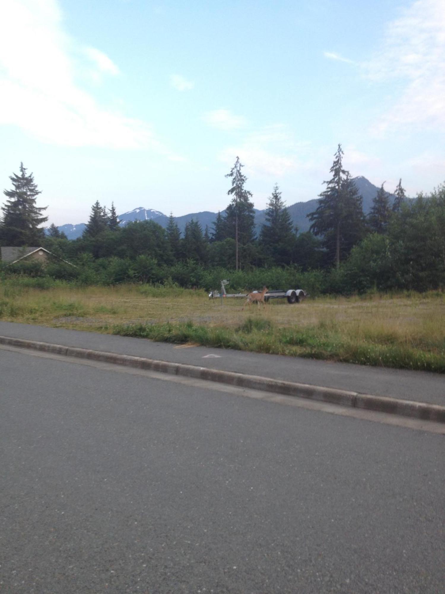 Kelli Creek Cottage - Reduced Price On Tours Juneau Eksteriør billede